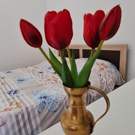 Studio Pico Клуж-Напока Екстериор снимка